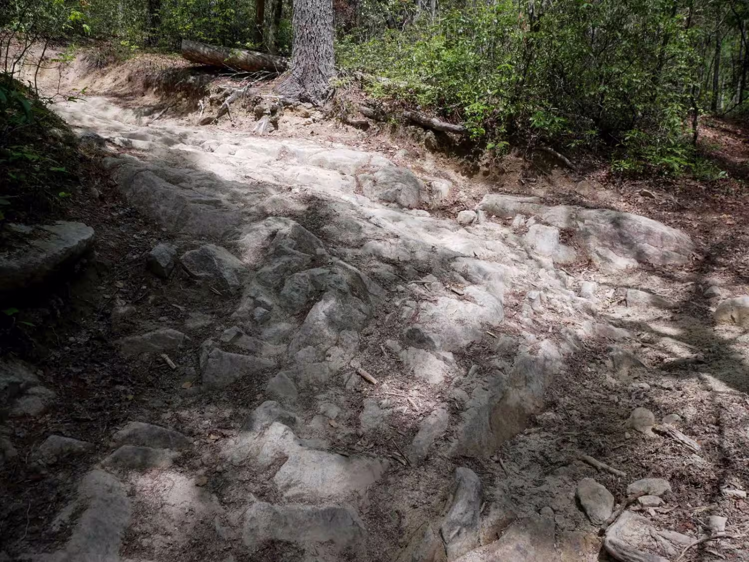 Brown Mountain Trail 1A